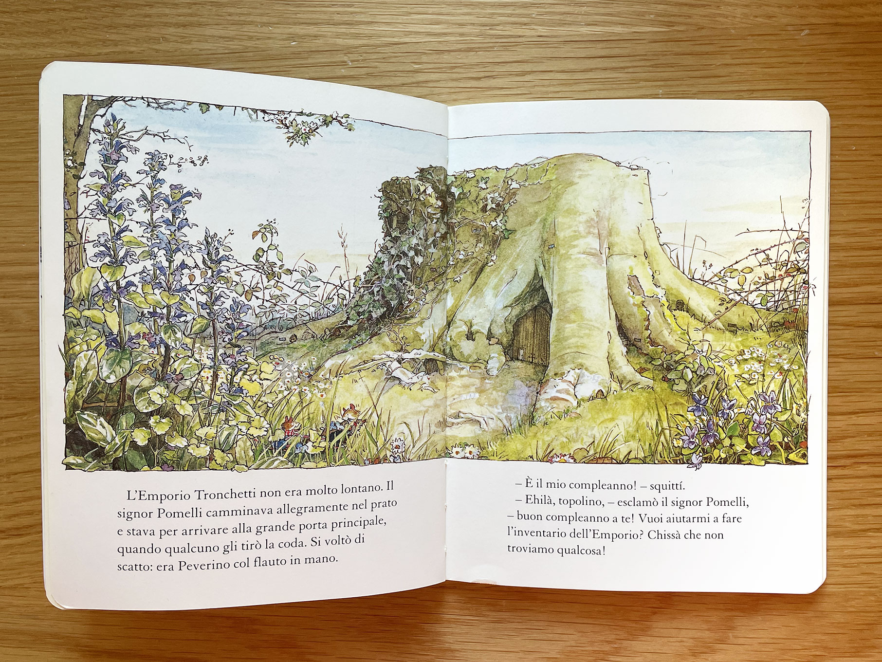 Storia di Primavera JILL BARKLEM