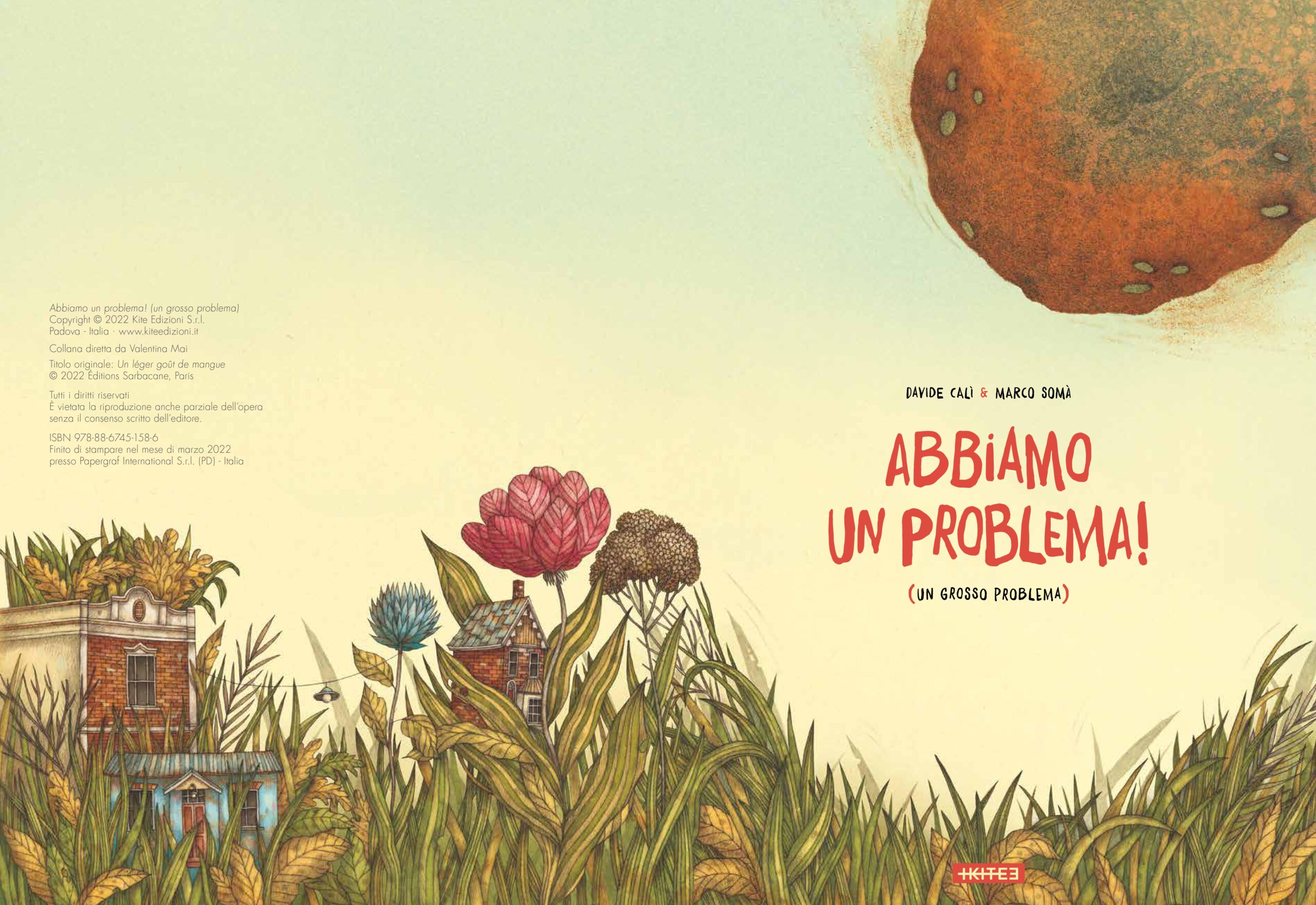 Abbiamo un problema Abbiamo un problema (un grosso problema)