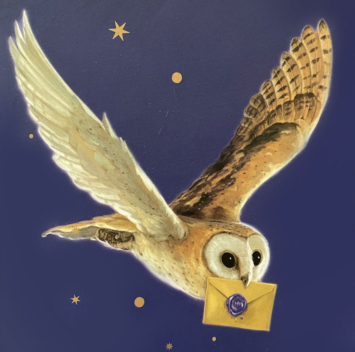 Harry Potter e la pietra filosofale